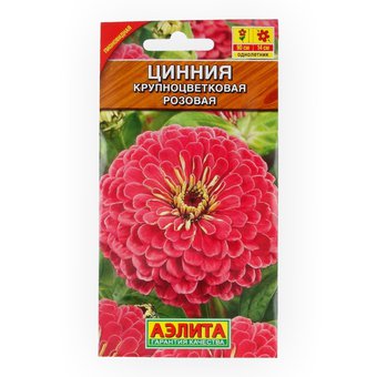 Циния Крупноцветковая розовая Аэлита Ц