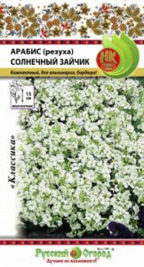 Арабис Солнечный зайчик НК Ц