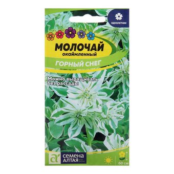 Семена цветов Молочай Горный снег, окаймленный, Сем. Алт, ц/п, 0,5 г ( 3 уп.)