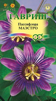 Семена Пассифлора съедобная Маэстро, 5шт, Гавриш, Цветочная коллекция