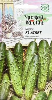 Огурец Атлет (Урожай на окне!) Гавриш Ц 