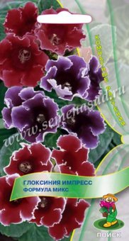 Глоксиния Импресс Формула микс 5шт Комн (Поиск) 10 упак.