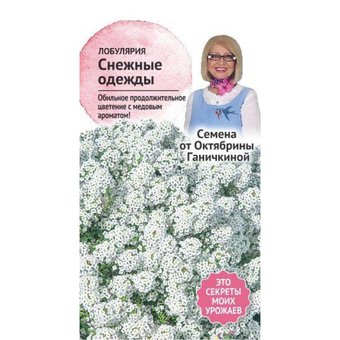 цАлиссум Снежные одежды 0,2 г (Семена от Ганичкиной) 