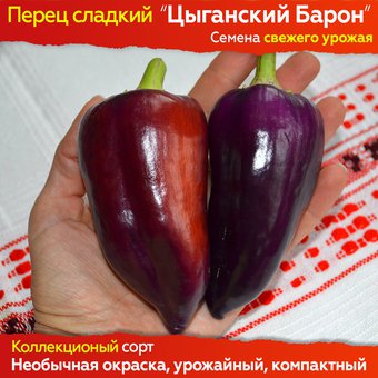 Семена сладкого перца Цыганский Барон - 10 шт, свежий урожай, коллекционный сорт