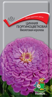 Цинния георгиноцветковая "Поиск" Фиолетовая королева 0,4г