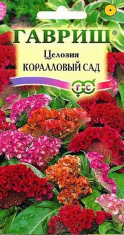 Семена Целозия гребенчатая Коралловый сад, 0,2г, Гавриш