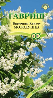 Семена Бирючина Квихоу Молодушка, 0,3г, Гавриш, Лесной уголок