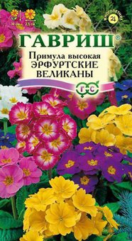 Примула "Гавриш" Эрфуртские великаны 20шт
