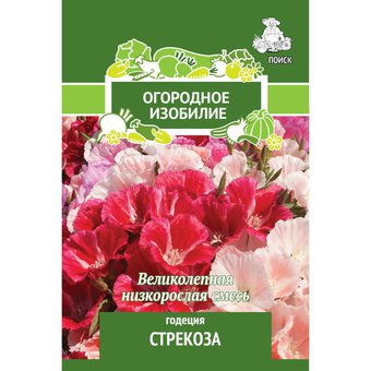 цГодеция Стрекоза (Огородное изобилие) 