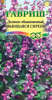 цГиацинтовые бобы Вьющаяся сирень 4шт 
