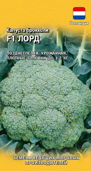 Капуста Лорд брокколи (Нидерланды) Каприс