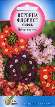 Вербена Флорист смесь, 40 семян