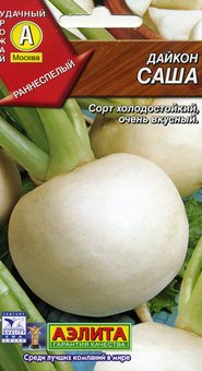 Дайкон "Аэлита" Саша 1г