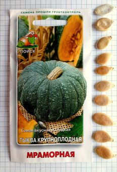Тыква Мраморная Поиск Ц