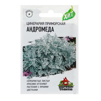 Семена цветов Цинерария приморская "Андромеда", О, 0,1 г  серия ХИТ
