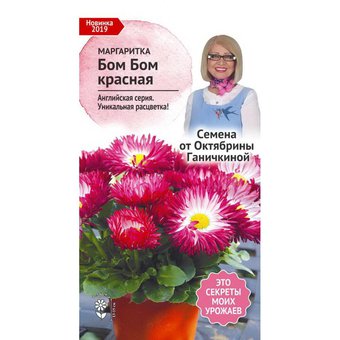 цМаргаритка Бом Бом красная 10 шт (семена от Ганичкиной) 