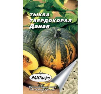 Тыква Даная Поиск Ц