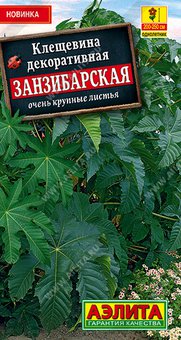 Клещевина "Аэлита" Занзибарская 2г