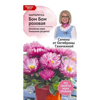 цМаргаритка Бом Бом розовая 10 шт (семена от Ганичкиной) 