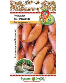 Лук шалот Деликатес (Вкуснятина)  (0,2г)
