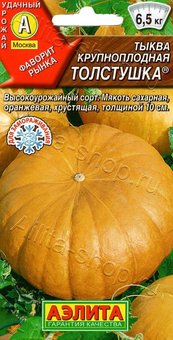 
                            Тыква крупноплодная Толстушка 1г                        