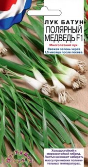 Лук батун Полярный медведь F1 0,5г (Цвет сад) 10 упак.