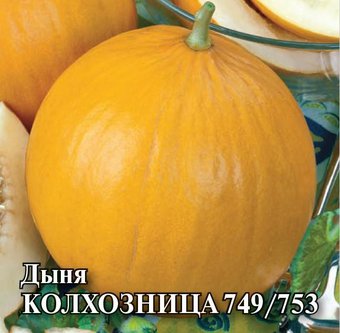 Дыня Колхозница евр.отв. Гавриш Б