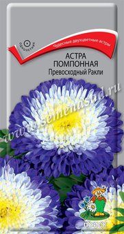 Астра помпонная "Поиск" Превосходный Ракли 0,3г
