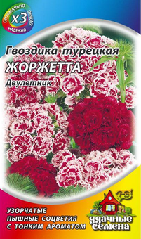 Гвоздика турецкая Жоржетта (метал) Гавриш Ц