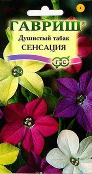 Табак душ. Сенсация крылатый 0,1г Одн смесь 70см (Гавриш) - 10 упак.