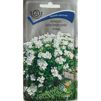 Арабис Белый Поиск Ц