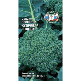 Капуста брокколи Кудрявая голова Седек Ц