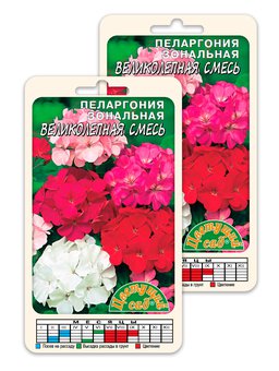 Цветы Пеларгония Великолепная СМЕСЬ (Семена Цветущий сад 0,03 г) x 2 упаковки