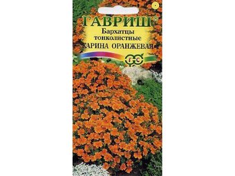 Бархатцы Карина оранжевая тонколист Гавриш Ц