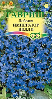 Лобелия Император Вилли НК Ц