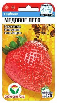 Медовое лето 5шт клубника (Сиб Сад)