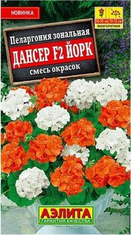 Пеларгония Дансер Йорк Аэлита Ц