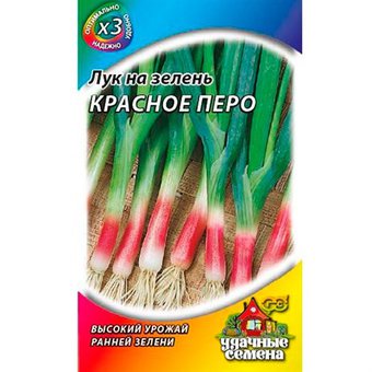 Лук на зелень Красное перо Гавриш Ц