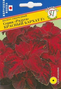 Колеус Радуга Красный бархат F1 10шт семян в пакете (1 пакет)