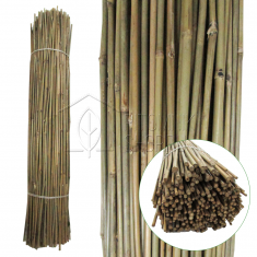 Бамбуковые колышки 120см 10/12мм (500)