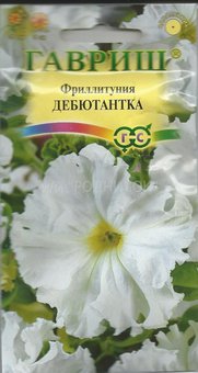 Петуния Дебютантка бахр Гавриш Ц