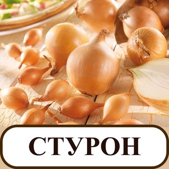 Лук Стурон 5 гр. Наша фасовка Поиск