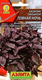 Базилик Темная ночь Аэлита Ц
