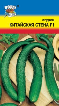 Огурец Китайская стена Урожай у дачи Ц