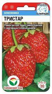 Тристар 10шт клубника (Сиб сад)