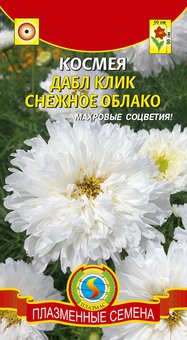 цКосмея Дабл Клик Снежное облако