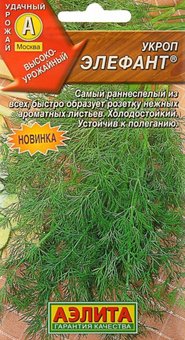 Укроп Элефант Аэлита Ц