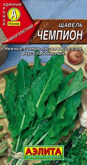 Щавель Чемпион Аэлита Ц
