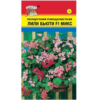 Пеларгония Лили Бьюти плющелистная 3шт 