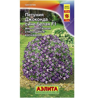 цПетуния Джоконда сине-белая 7шт